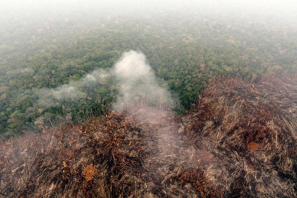 deforestation falls over 60% compared with last July, says Brazilian  minister,  rainforest