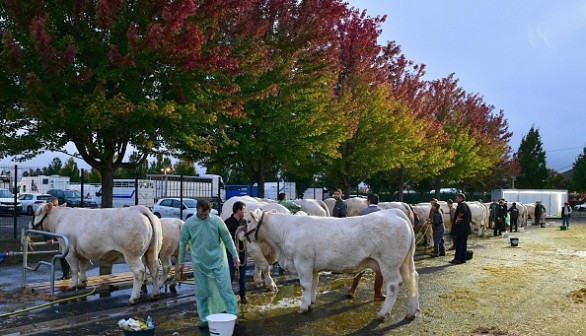 FRANCE-POLITICS-AGRICULTURE