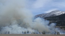 Harmful Pathogens, Fungi Can Hitch on Wildfire Smoke and Cause Sickness in Far Cities