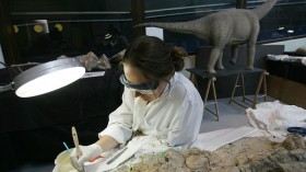 A palaeontologist at the Dinopolis theme