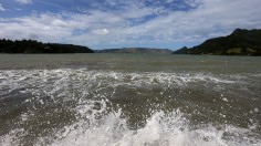 New Zealand beach