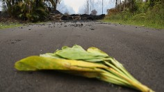 Hawaii's Kilauea Volcano Erupts Forcing Evacuations