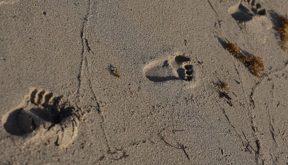 Dawn Finds Early Risers On Miami's Beaches