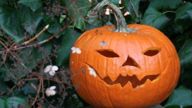 Sustainable Halloween: Could it be a Trick or an Actual Treat?