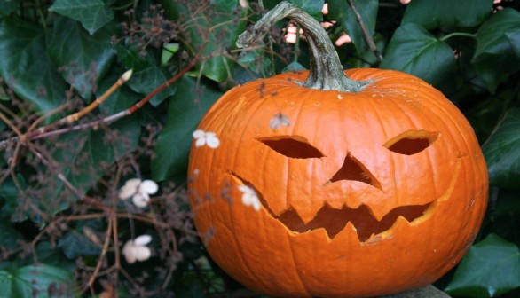 Sustainable Halloween: Could it be a Trick or an Actual Treat?