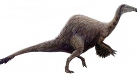 Dinosaur Fossil Found in Mississippi: Looks Like an Ostrich, Tall as a Giraffe