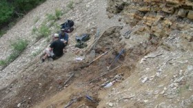 This image depicts fossil-bearing sediments at the 'North Face' fossil site in Driftwood Canyon Provincial Park, British Columbia, where the extinct hedgehog fossils were collected.