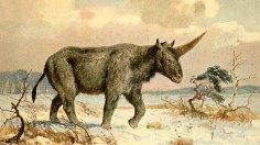 Fossil Found in Scottish Highlands Spark Speculation About Scotland's National Animal: The Unicorn