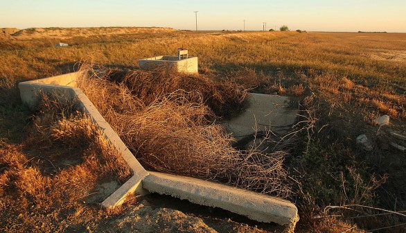 Tumbleweeds