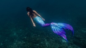 PADI Mermaid