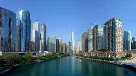 Chicago River Now Hosts 3000 Sq Feet Floating Wetlands to Boost Biodiversity