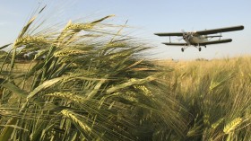 An airplane treats winter wheat crops with chemicals to kill destructive insects in the town of Mozdok in North Ossetia June 8, 2011.