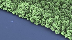 New Non-Toxic and Inexpensive Synthetic Crystals can Convert Heat into Electricity