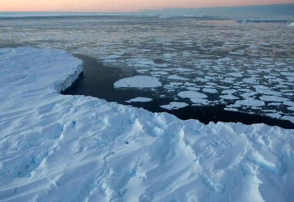 Phytoplankton Blooms Could Thrive in Antarctic Ice, Study Shows 