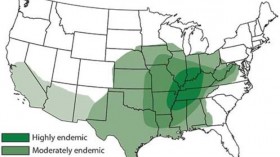 Deadly Soil Fungi Causes Serious Lung Infection Uptick in 48 States, Study Shows