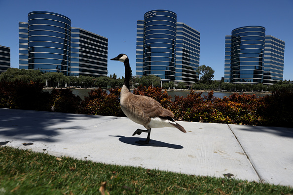 Oracle releases its financial results for the fourth quarter