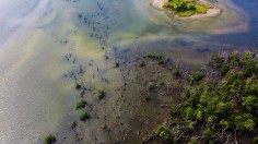 VENEZUELA-ENVIRONMENT-CLIMATE-WETLAND-LA REINA