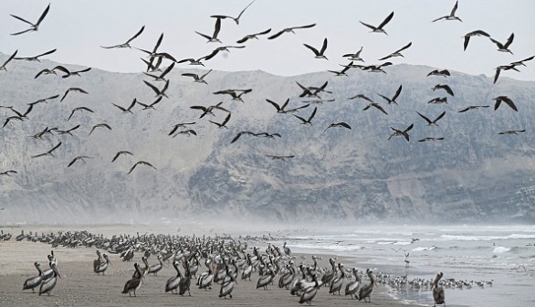 Beach in Lima, Peru on December 1, 2022