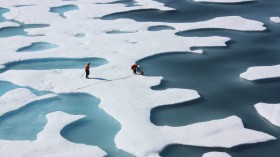 Melt ponds