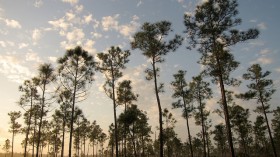 Everglades National Park