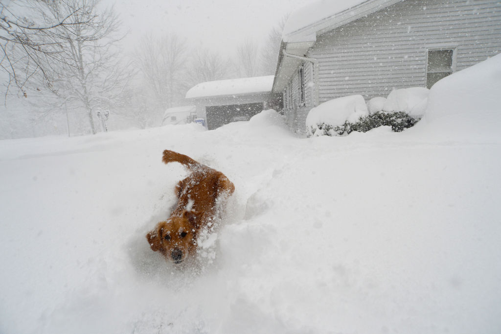 Winter Storm Diaz Blizzard Warnings Issued For The Plains Midwest And Northeast This Week 6868