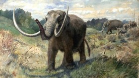 Mastodons, Lush Landscape Dominate Northern Greenland 2 Million Years Ago, Oldest DNA Reveals