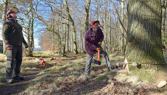 A Scottish Estate Donates Timber For The Renovation Of HMS Victory