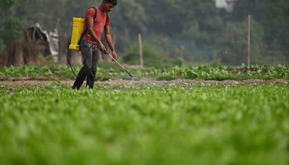 INDIA-ECONOMY-AGRICULTURE