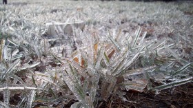 Extreme Prolonged Freezing Conditions for Mississippi and Louisiana Persists Until Thursday with Temperatures Plunging to 5 Degrees