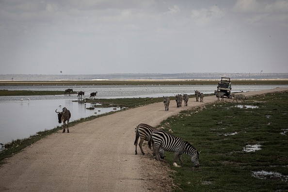 Kenya's Prolonged Drought Decimates Heritage Wildlife Ecosystem
