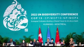 Draft UN nature deal at COP 15 