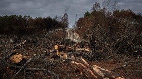 FRANCE-ENVIRONMENT-FIRE-FORESTRY