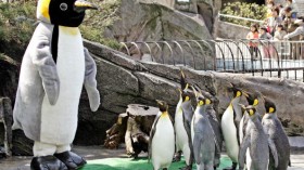 The penguin cage of Tokyo's Ueno Zoo