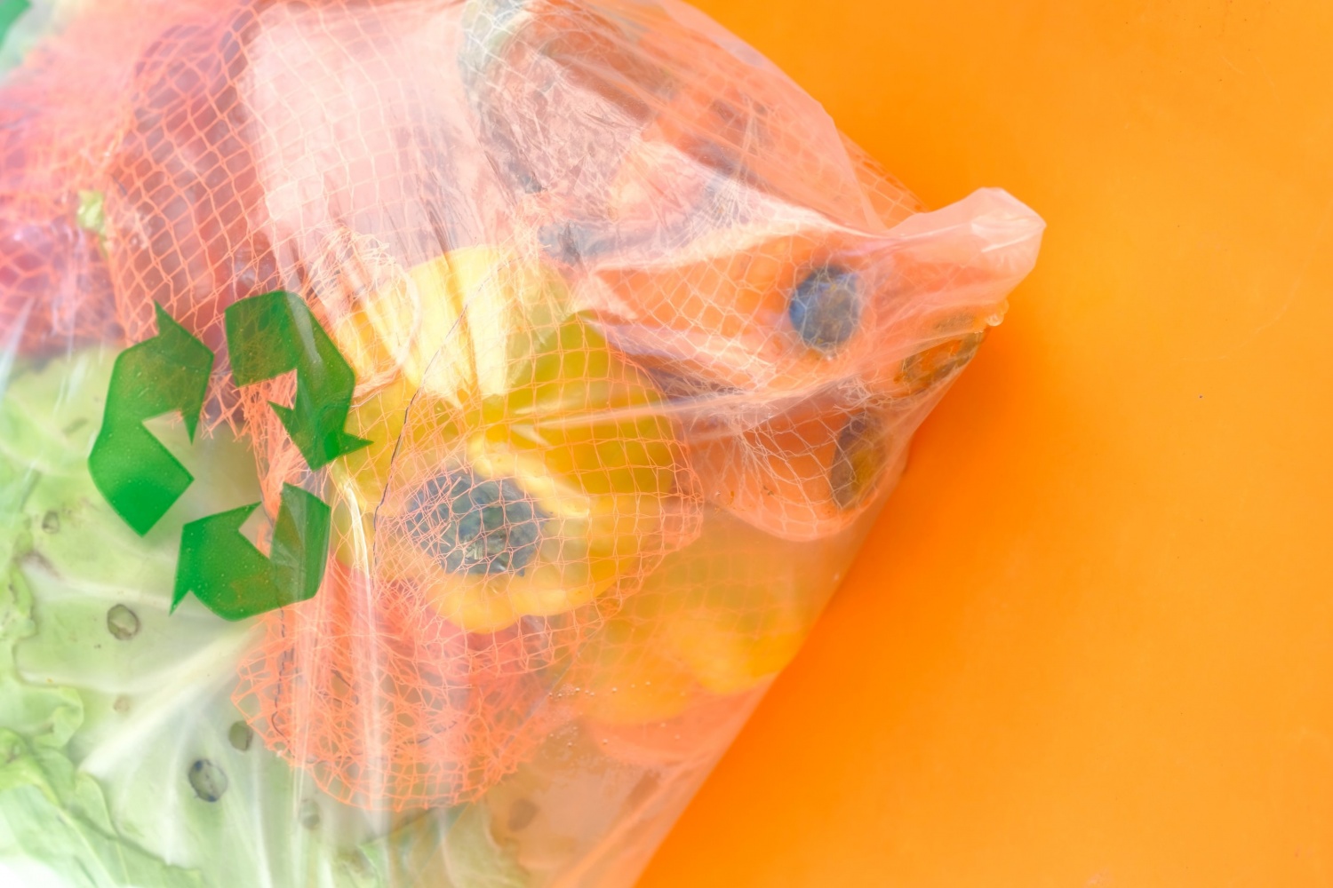 Plastic bag restriction in Colorado by 2024, 10 cent cost by January 1,