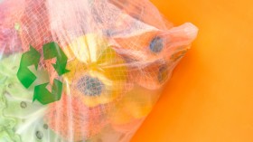 Colorado Plastic Bag Ban Effective 2024, 10-Cent Fee Starts January 1, 2023