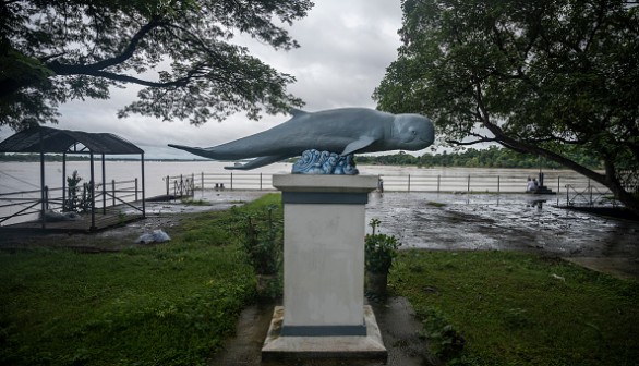 A statue of Irrawaddy river dolphin