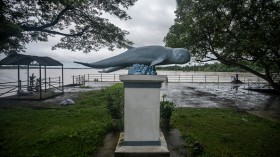 A statue of Irrawaddy river dolphin