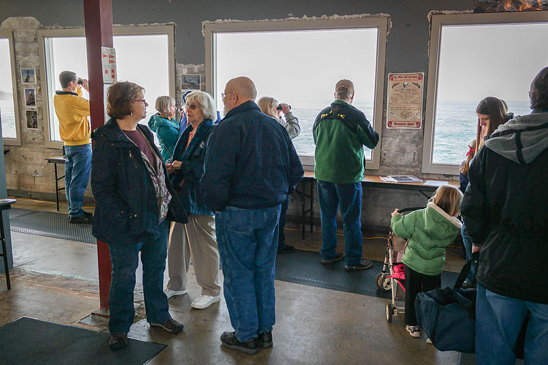 Oregon Returns In-Person Whale Watch Week in Time For Spotting 20,000