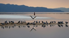 Great Salt Lake on August 02, 2021 near Magna, Utah