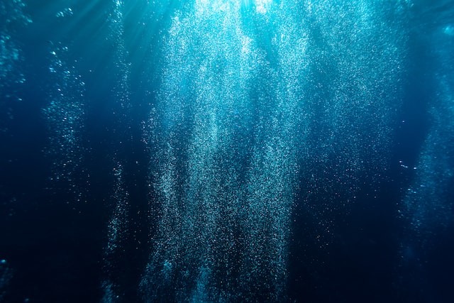 A flurry of air bubbles from scuba divers, 20m below the surface.