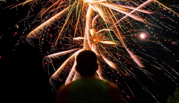 Fireworks Make Wild Birds Sleep Less and Fly 300 Miles Nonstop, Study Shows