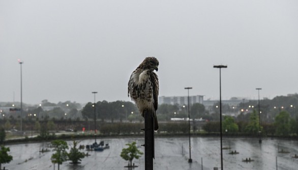 Rains in Atlanta, on April 23, 2020