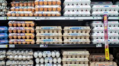Food Inflation Continues To Increase With Eggs Costing 38% More Than A Year Ago
