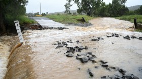 Queensland Flooding
