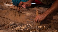 10 Crocodile Mummies from 2,500 Years Ago Found in Egyptian Tomb Near Nile River
