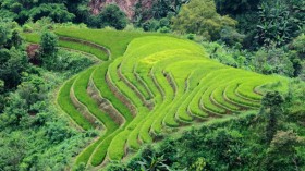 Hoang Su Phi terraced fields, Ha Giang province, Vietnam