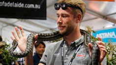 Mini Snake Guide for Snake Season in Australia: What To Do When Bitten