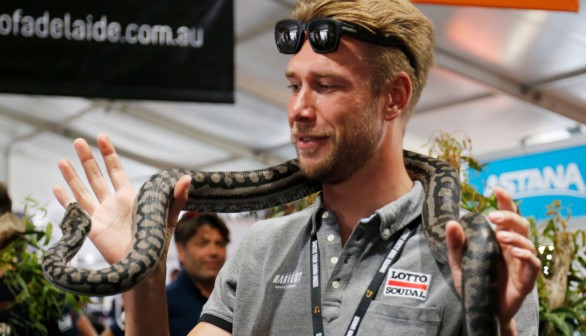Mini Snake Guide for Snake Season in Australia: What To Do When Bitten