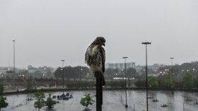 Rains in Atlanta, on April 23, 2020.