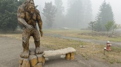 Bigfoot Mystery Finally Solved Via Statistical Data Analysis